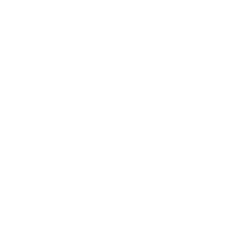 Google logo white